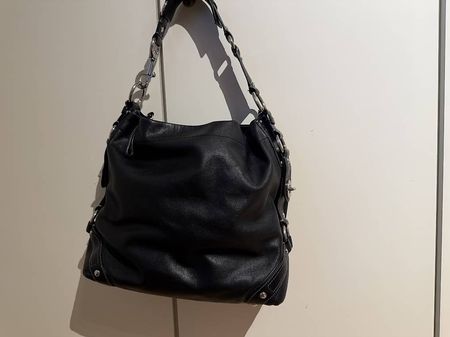 Coach Carly Large Hobo Bag