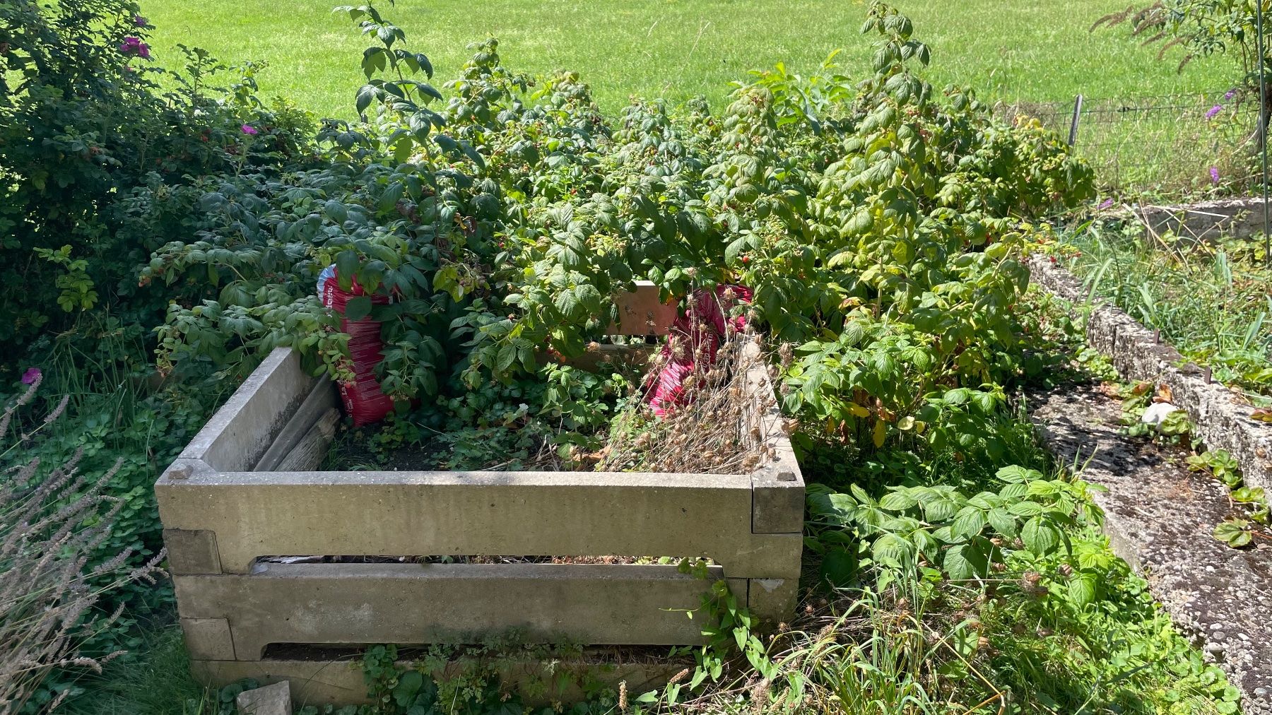 Pots de fleurs: Hochbeet Beton Zement Elemente – D'occasion à Basel par Kold