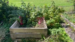 Hochbeet Beton Zement Elemente