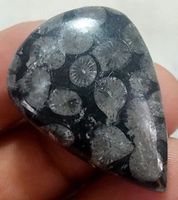Cabochon L-6850 – Schwarzer Fossil Edelstein 32X22X7mm 37.30