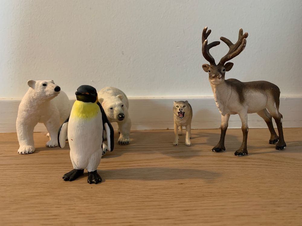  Kaufen auf Ricardo Motiv 