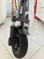 Xiaomi Electric Scooter Elite (DDHBC12LQ)  mit garantie