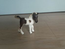 Mini-Pony