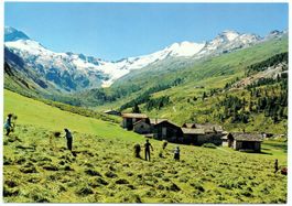 Landwirtschaft im FEXTAL beim Heuen
