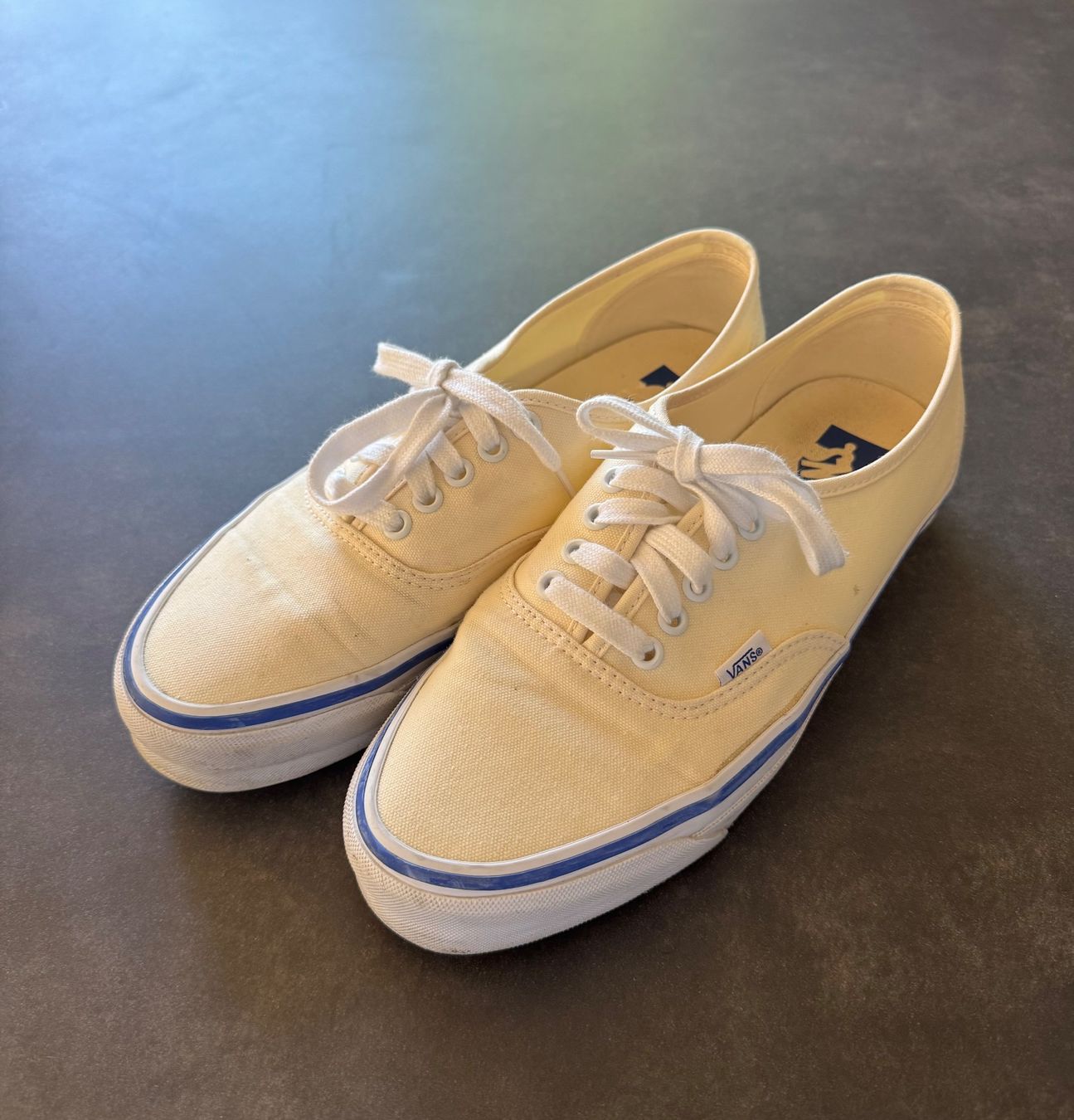 Vans Chaussures hommes: VANS Authentic 42 – D'occasion à Coppet par Apicius1
