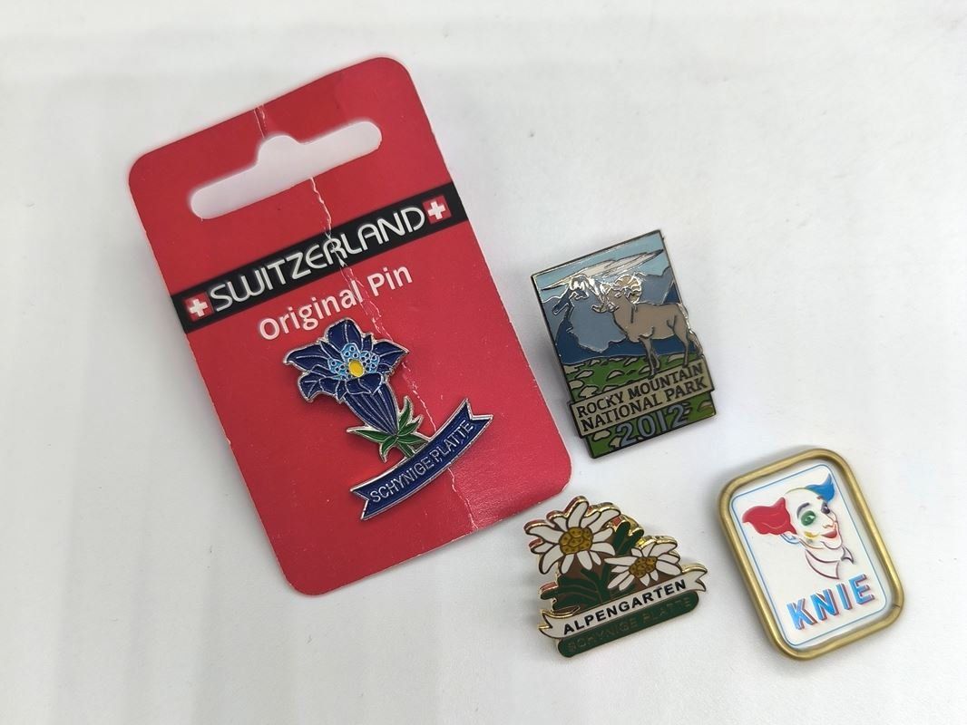 Plaketten & Abzeichen: Pin Lot 8 Stück – Gebraucht aus Rüti ZH von Restwert_Rueti_ZH 3