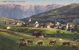 Wildhaus - Toggenburg- 1913