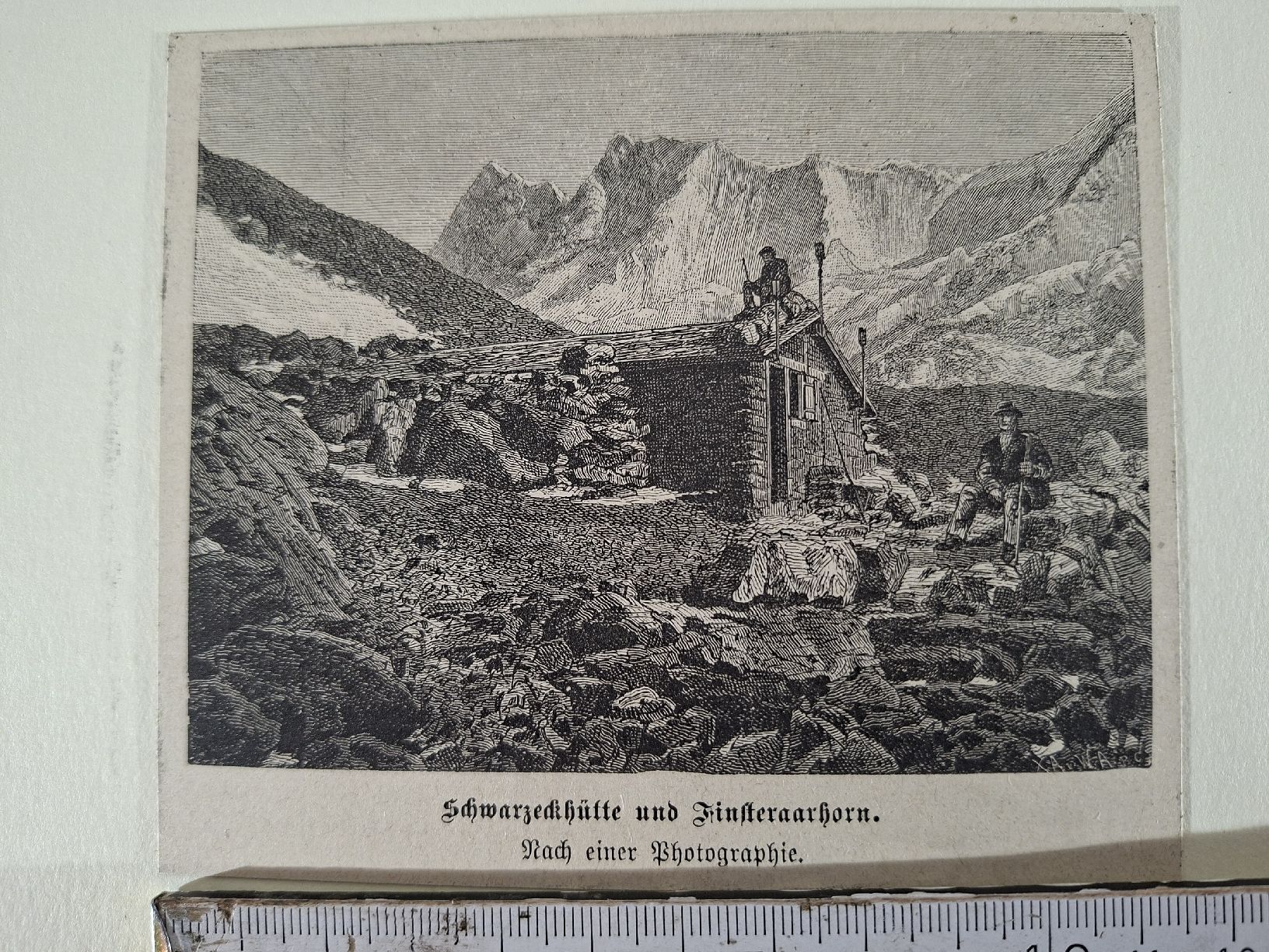 Incisioni: Lot 61, 10 Stiche  – Usato da Grindelwald venduto da carro5 4