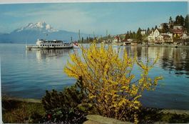 WEGGIS im Frühling mit Pilatus