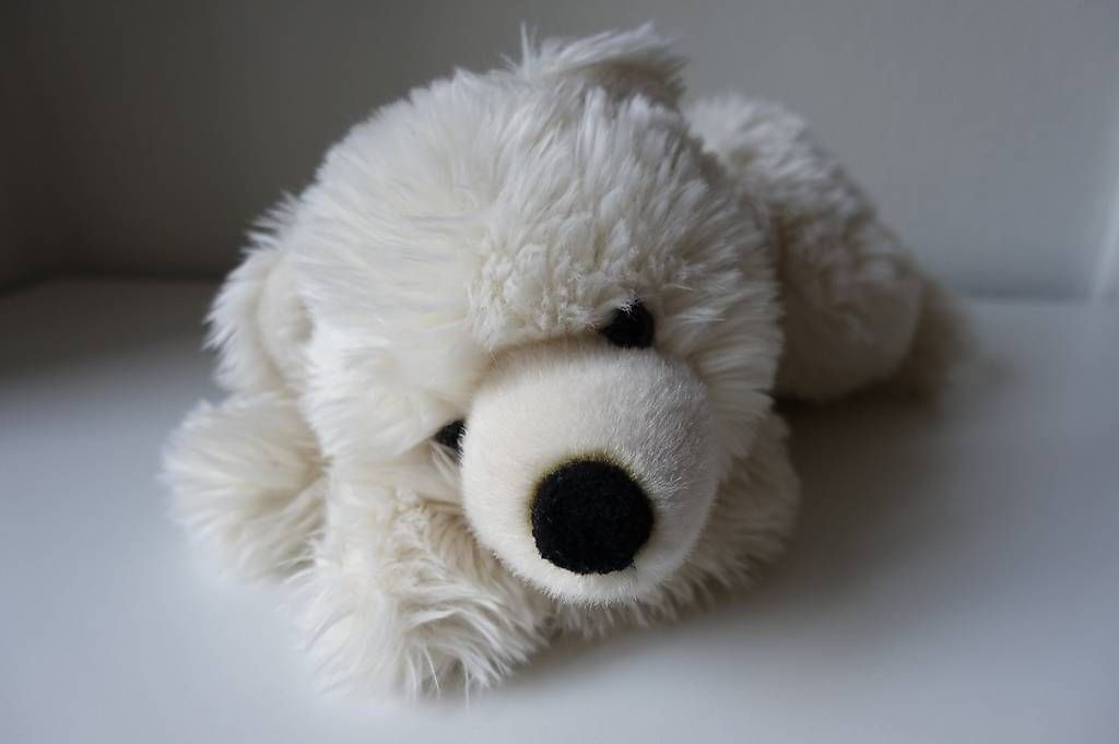 Jouets: Jolie peluche ours blanc – D'occasion à Neuchâtel par p_b_vdv7 1
