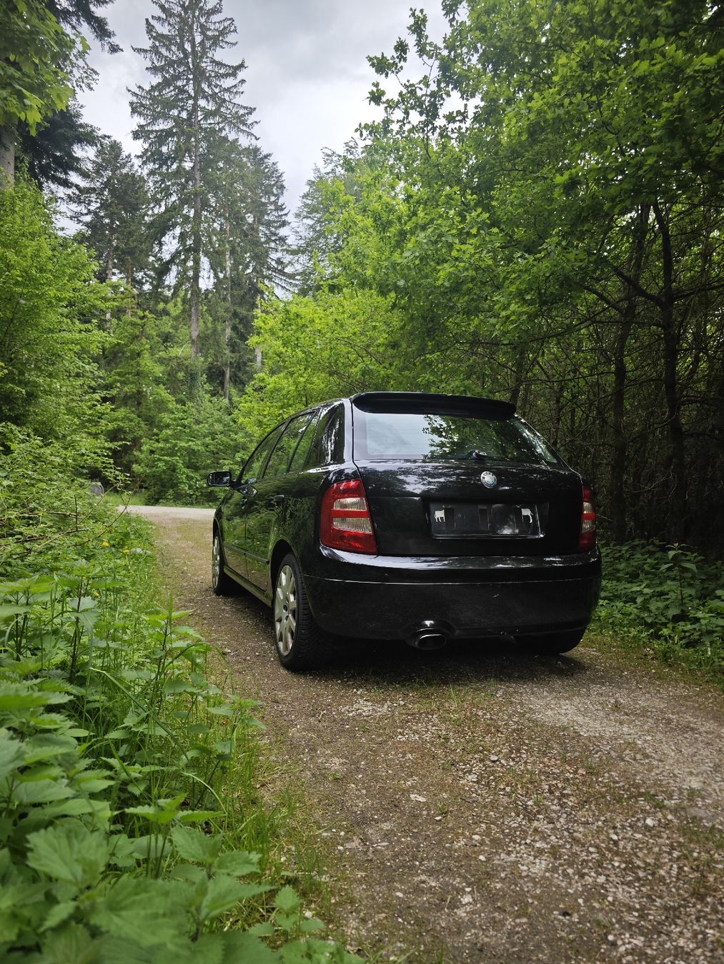 Skoda Automobili: Ab 1.- Skoda Fabia RS 1.9 TDI 2003! – Usato da Brittnau venduto da ThomasKTM 2