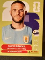 Panini 2026 URU9