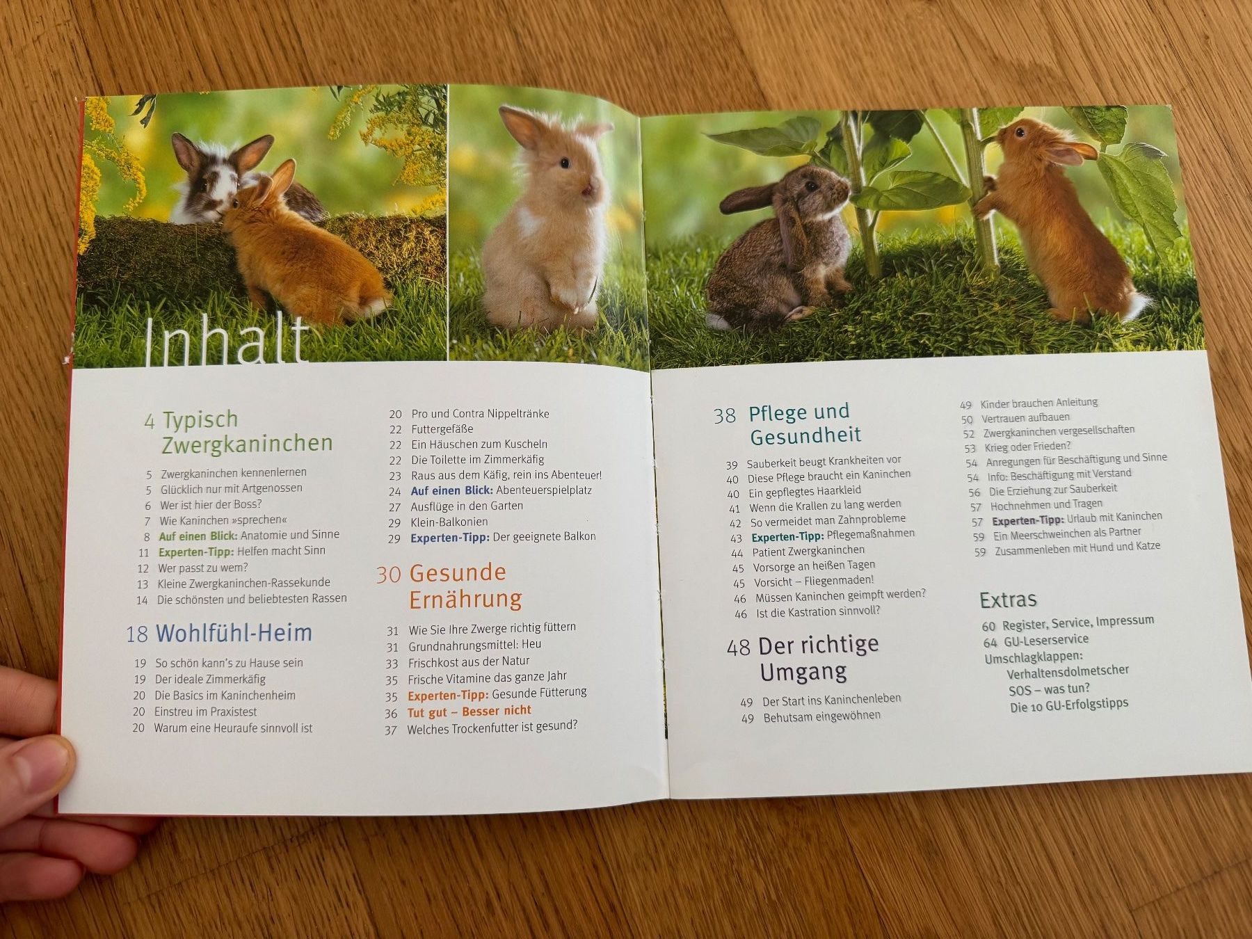 Libri: Zwergkaninchen Buch – Usato da Riedholz venduto da emm_22qn 2