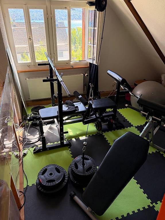 Hometrainer: Gorilla Press Bench Kraftstation inkl. Gewichte – Usato da Zürich venduto da mic_v7zw 1