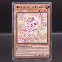 Mulreizendes Miauls - Common - DE
