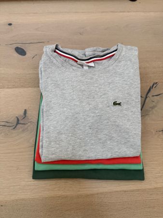 4 Lacoste T-Shirts Grösse 164 cm 14 Jahre Baumwolle