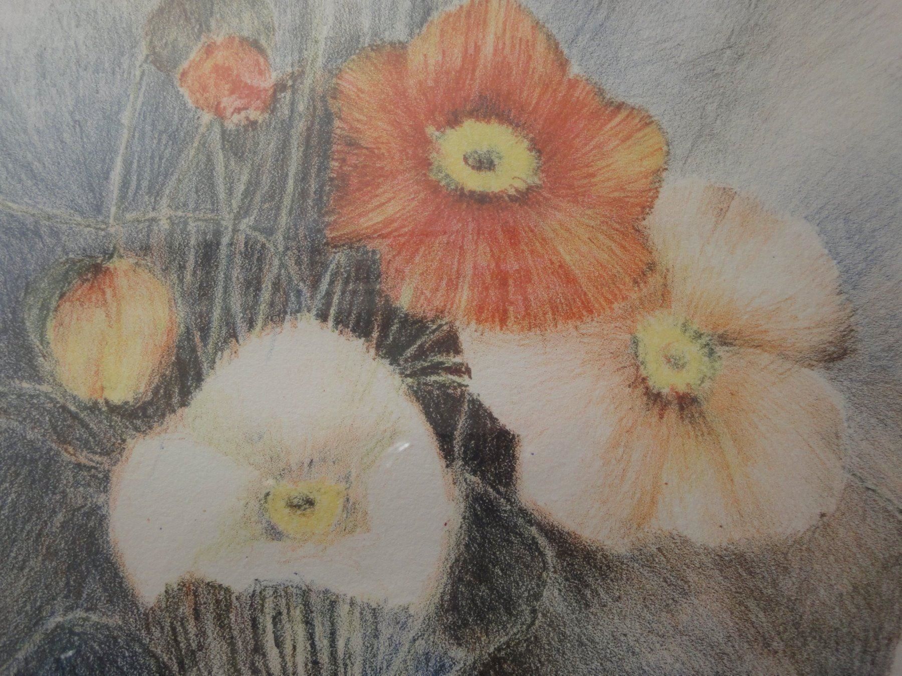 Grafica & Litografie: Glauser Lotti, 1953 - Mohnblumen - Steinlithographie – Nuovo (secondo la descrizione) da Biel/Bienne venduto da 07helios032 4