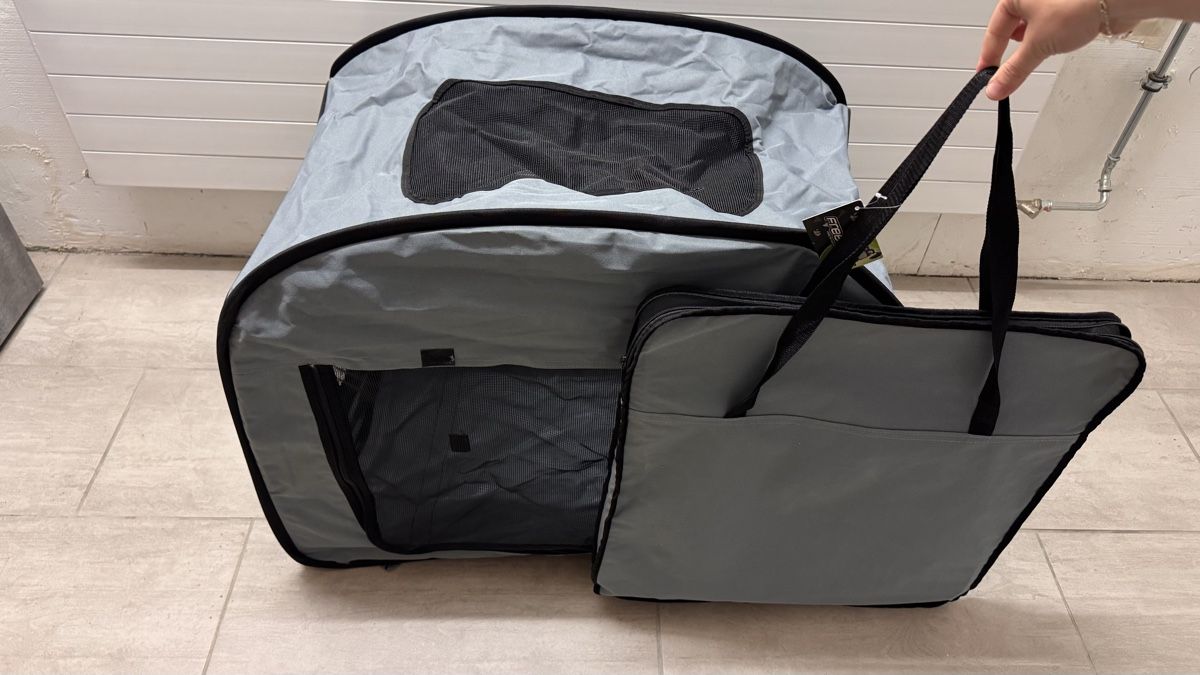 Cucce & Letti: Transportbox für Hunde oder Katzen, Freezack – Usato da Neuhaus SG venduto da NicKi333 4