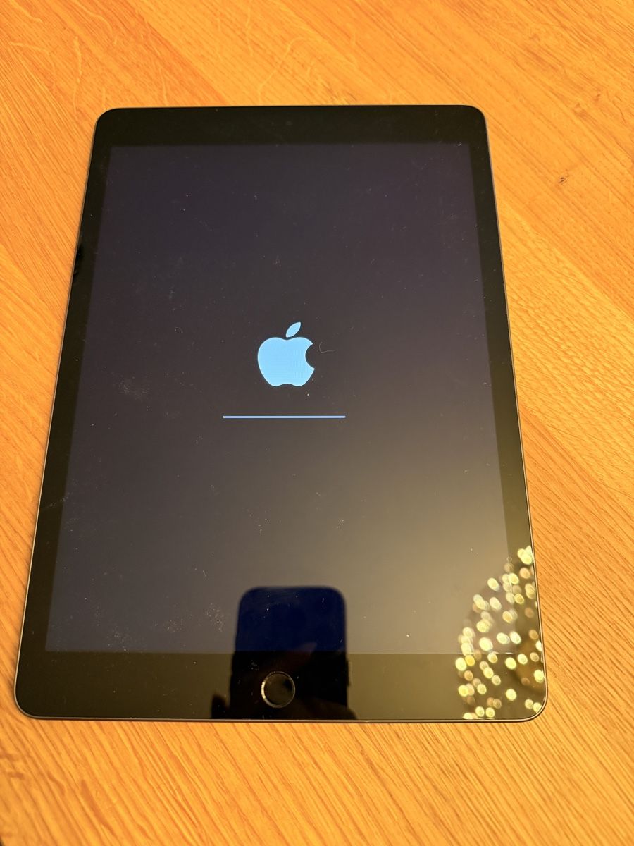 Apple Tablet PC: Ipad 9. Generation 64GB – Usato da Bonaduz venduto da Avenada 1