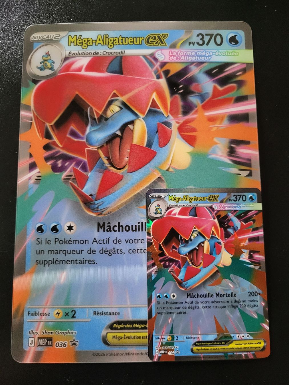 Pokémon Carte collezionabili: Mega aligatueur ex 036 promk mega evolution jumbo + ex FR – Nuovo (secondo la descrizione) da St-Sulpice VD venduto da cel_ysf7