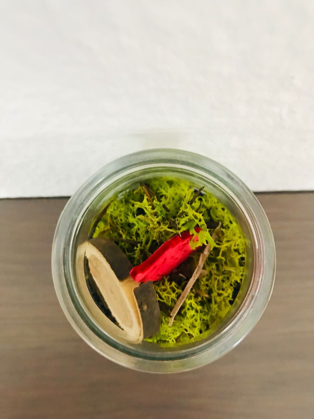 Tutte le decorazioni: dekoratives Sturzglas - Motiv: Wald – Nuovo e nell'imballaggio originale da Lausanne venduto da opi_92cn 8