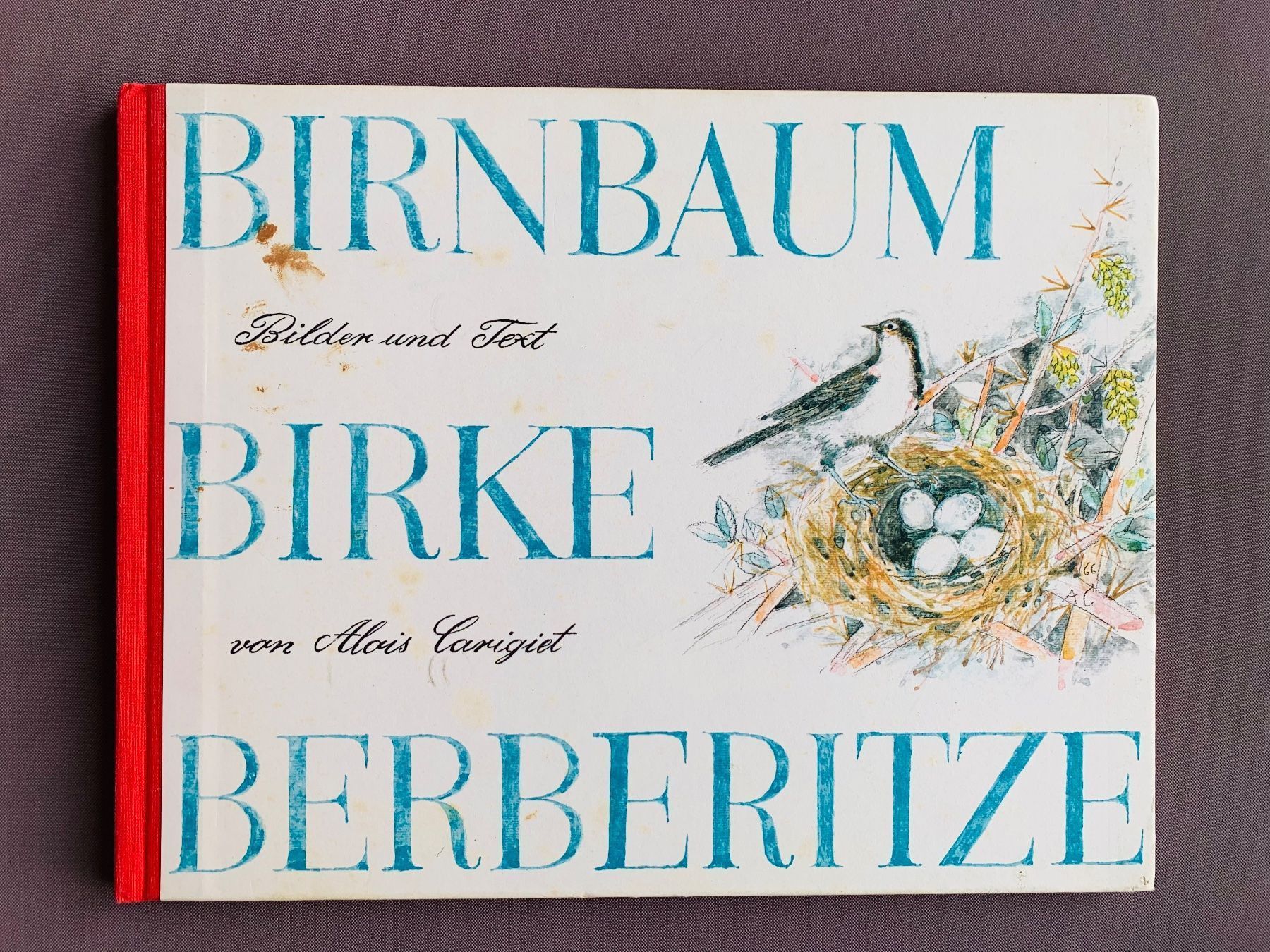 Libri: Kinderbuch: Birnbaum Birke Berberitze – Usato da Fehraltorf venduto da nolram75