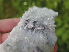 Nadelquarz mit Galena
