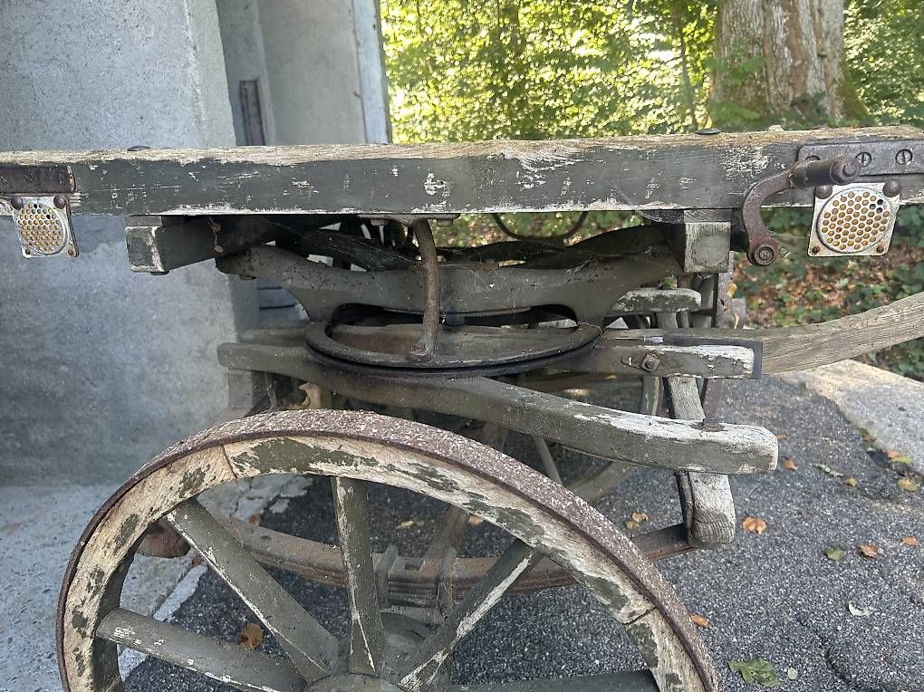 Carrozze: Antiker Pferdewagen  – Usato da Winterthur venduto da Campos1 3