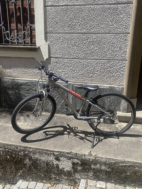 Biciclette: Bici Specialized Grigia  – Usato da bedigliora venduto da kabramakashowm