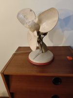 Ventilator  aus Elge, 