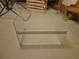 glas terrarium