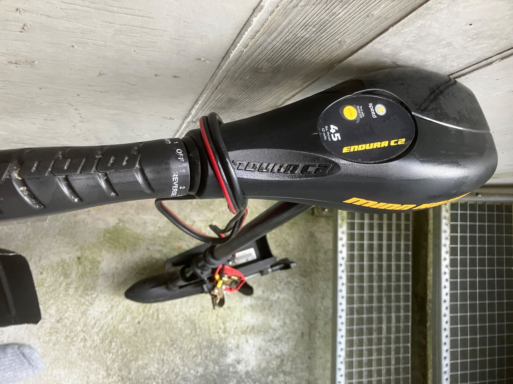 Minn Kota Motori: Minn Kota Endura C2  ibs. 45 – Usato da Eggiwil venduto da jou70 1