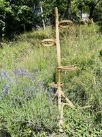 Porte- plantes