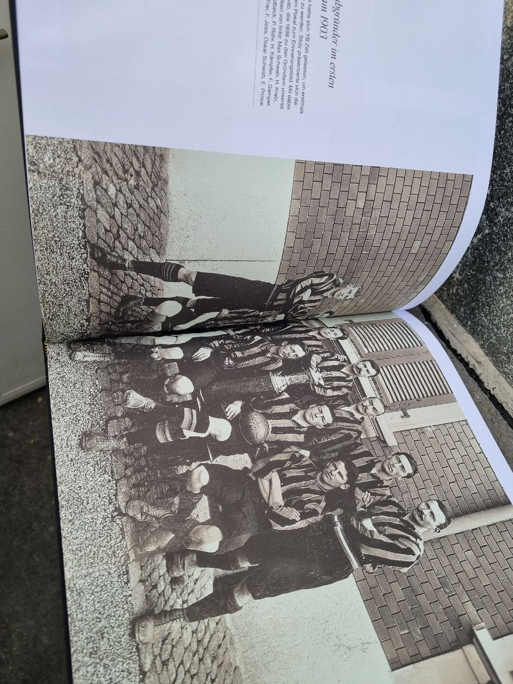 Livres: YB  BUCH – D'occasion à Ostermundigen par vintage60 4