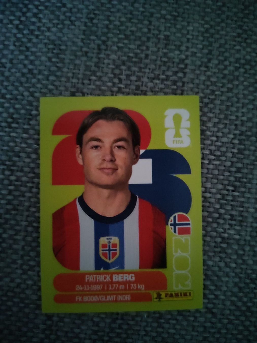 Panini Carte collezionabili: Panini WM 2026, NOR 14, Berg – Usato da Aarburg venduto da gloeckgloeck