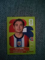 Panini WM 2026, NOR 14, Berg