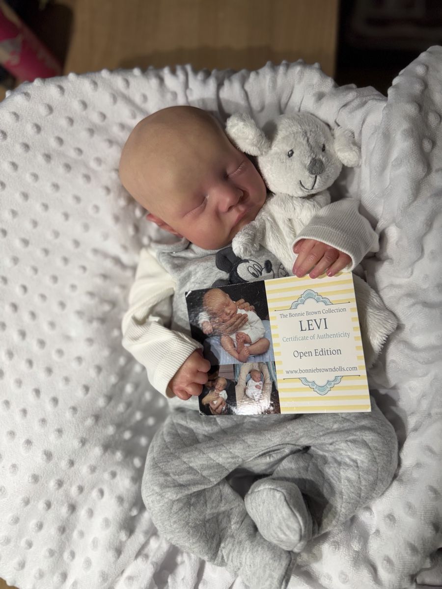 Reborn Puppen: Levin – Neu (gemäss Beschreibung) aus Unterentfelden von van_m8g7 1