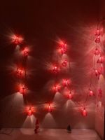 Lichterkette 6 m lang Einzelstück Körbchen rot Deko LED