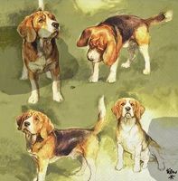 Serviette beagles (1713) 2Stk.