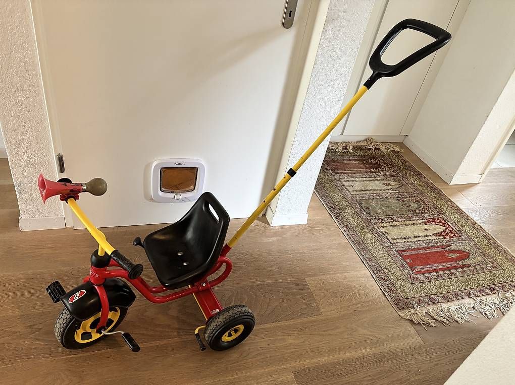 Puky Veicoli per bambini: Dreirad Puky – Usato da Thun venduto da Silvialuina 2
