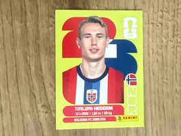 Panini Sticker FIFA World Cup 2026 Torbjørn Heggem NOR 8