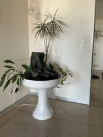 Zimmer-Brunnen mit Stein Deko und Pflanze auf Sockel