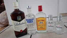 5 Spirituosen: Ballantines, Absolut, Earls Finest & Trojka 