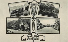 Gruss aaus SENNWLD SG sehr schöne Mehrbildkarte um 1920!