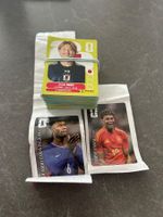 Panini WM Bilder