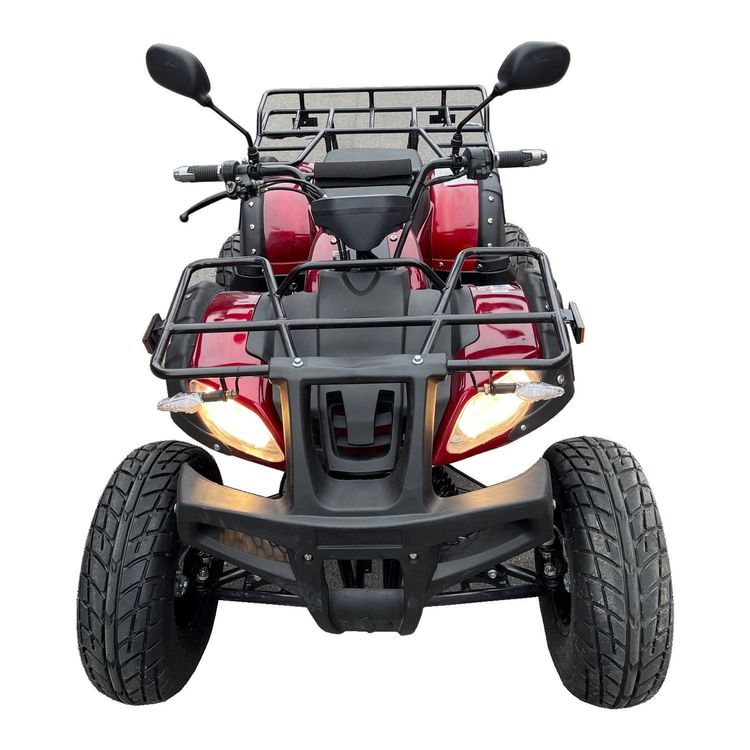 Elektro Quad mit Strassenzulassung Comprare su Ricardo
