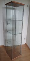 Vitrinen Glas Metall Holz mit Tür HxBxT: 162x40x35cm