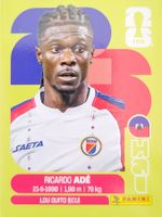 Panini FIFA World Cup HAI 6