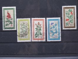 DDR 1960 Einheimische Heilpflanzen gest.