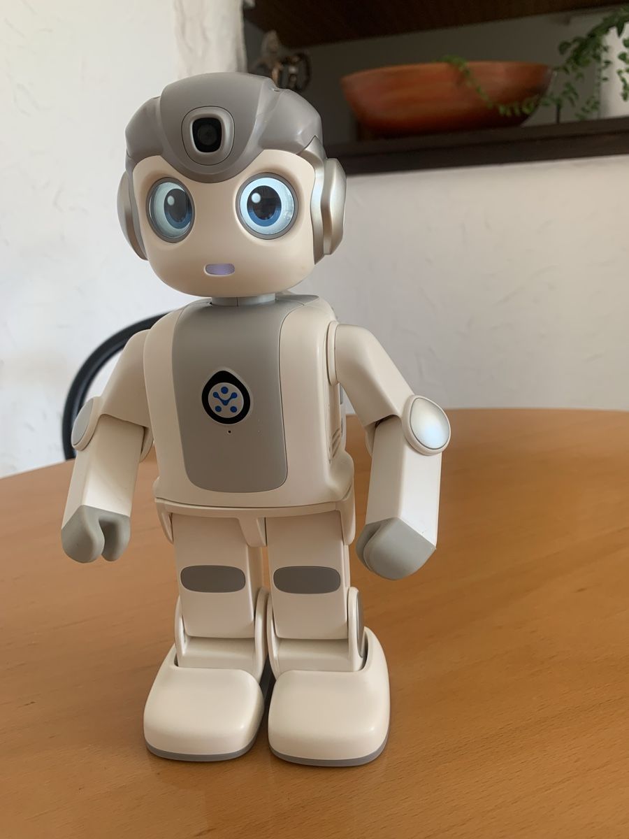 Tutte le macchine: Alpha Mini - Roboter – Usato da Sarmenstorf venduto da orbway